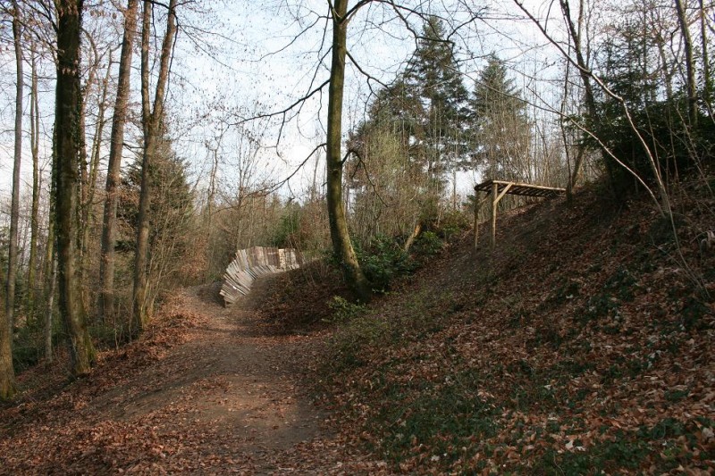 http://i1.pinkbike.com/photo/1892/pbpic1892741.jpg